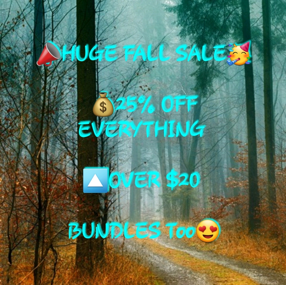 INDEPENDENCE DAY - Picture 16 of 17